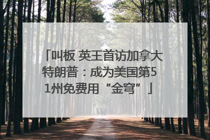 叫板 英王首访加拿大 特朗普：成为美国第51州免费用“金穹”