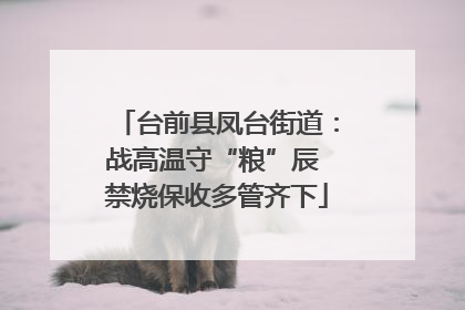 台前县凤台街道：战高温守“粮”辰 禁烧保收多管齐下