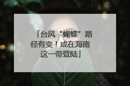 台风“蝴蝶”路径有变！或在海南这一带登陆