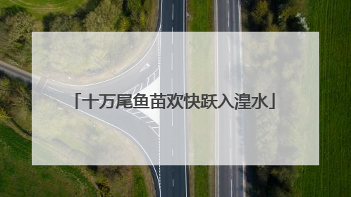 十万尾鱼苗欢快跃入湟水