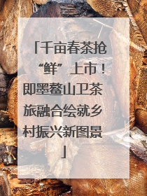 千亩春茶抢“鲜”上市！即墨鳌山卫茶旅融合绘就乡村振兴新图景