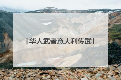 华人武者意大利传武