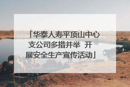 华泰人寿平顶山中心支公司多措并举  开展安全生产宣传活动