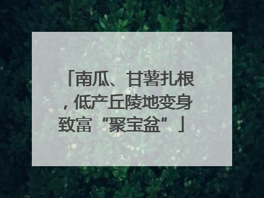 南瓜、甘薯扎根，低产丘陵地变身致富“聚宝盆”