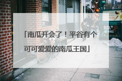 南瓜开会了！平谷有个可可爱爱的南瓜王国