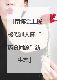 南博会上探秘昭通天麻“药食同源”新生态