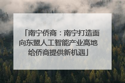 南宁侨商：南宁打造面向东盟人工智能产业高地给侨商提供新机遇