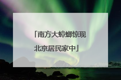 南方大蟑螂惊现北京居民家中