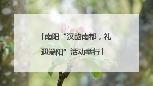 南阳“汉韵南都，礼遇端阳”活动举行