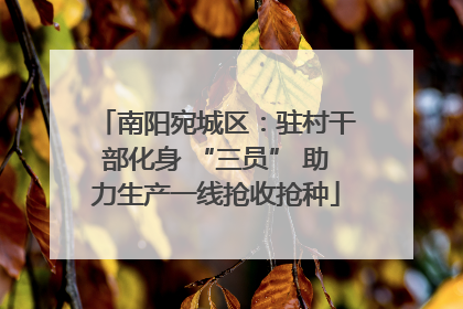 南阳宛城区：驻村干部化身 “三员” 助力生产一线抢收抢种