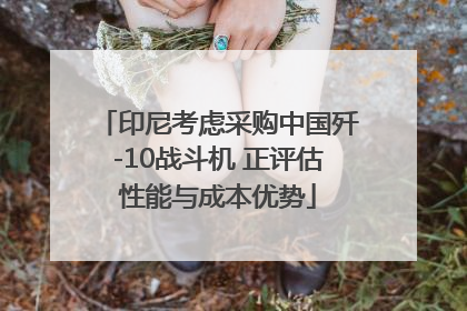 印尼考虑采购中国歼-10战斗机 正评估性能与成本优势