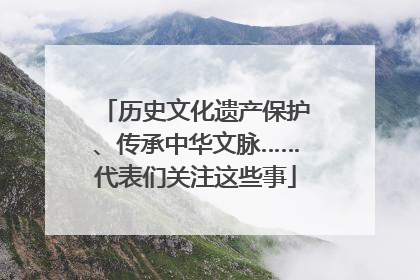 历史文化遗产保护、传承中华文脉……代表们关注这些事