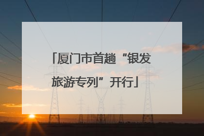 厦门市首趟“银发旅游专列”开行