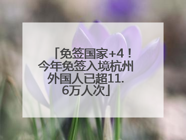 免签国家+4！今年免签入境杭州外国人已超11.6万人次