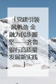 党建引领风帆劲 金融为民步履坚——齐鲁银行高质量发展新实践