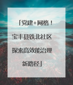 党建+网格！宝丰县铁北社区探索高效能治理新路径