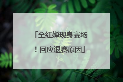 全红婵现身赛场！回应退赛原因