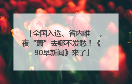 全国入选、省内唯一，夜“萧”去哪不发愁！《90早新闻》来了