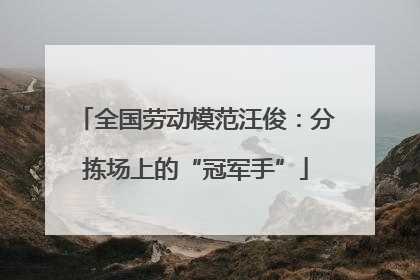 全国劳动模范汪俊：分拣场上的“冠军手”