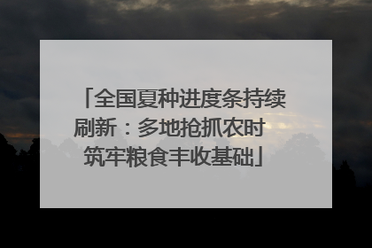 全国夏种进度条持续刷新：多地抢抓农时 筑牢粮食丰收基础