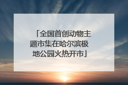 全国首创动物主题市集在哈尔滨极地公园火热开市