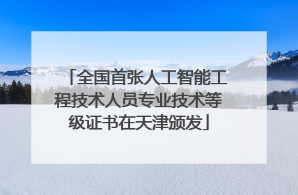 全国首张人工智能工程技术人员专业技术等级证书在天津颁发