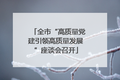 全市“高质量党建引领高质量发展”座谈会召开