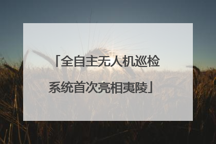 全自主无人机巡检系统首次亮相夷陵