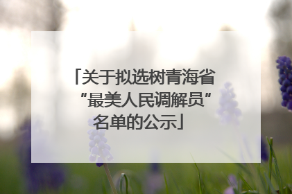 关于拟选树青海省“最美人民调解员” 名单的公示