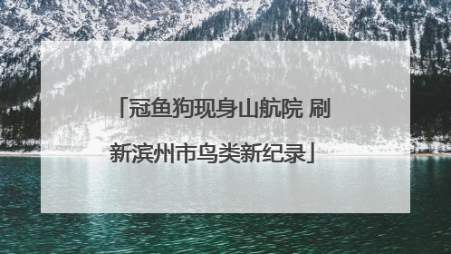 冠鱼狗现身山航院 刷新滨州市鸟类新纪录