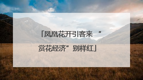 凤凰花开引客来 “赏花经济”别样红