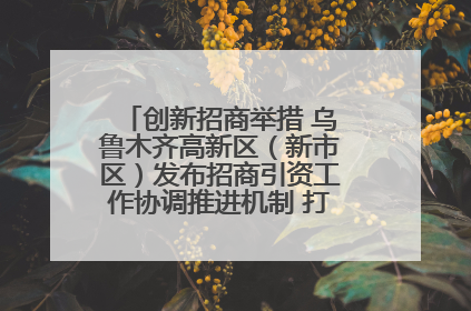 创新招商举措 乌鲁木齐高新区（新市区）发布招商引资工作协调推进机制 打造投资发展新高地