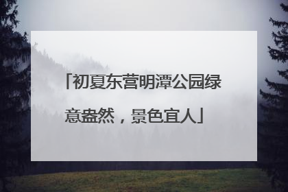 初夏东营明潭公园绿意盎然，景色宜人