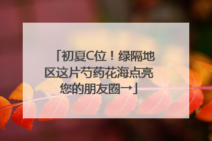 初夏C位！绿隔地区这片芍药花海点亮您的朋友圈→