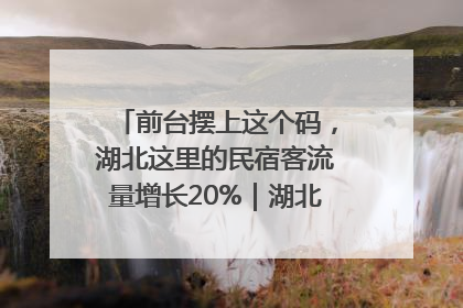 前台摆上这个码，湖北这里的民宿客流量增长20%｜湖北市场监管所的故事