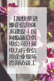 加快推进豫企信用体系建设｜国网临颍县供电公司开展电力行业信用企业现场咨询访谈工作