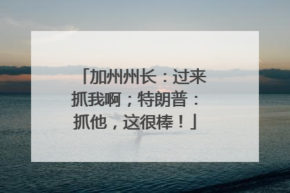 加州州长：过来抓我啊；特朗普：抓他，这很棒！