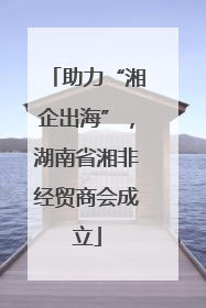 助力“湘企出海”，湖南省湘非经贸商会成立