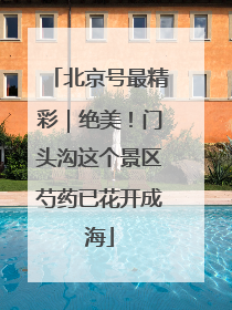 北京号最精彩｜绝美！门头沟这个景区芍药已花开成海