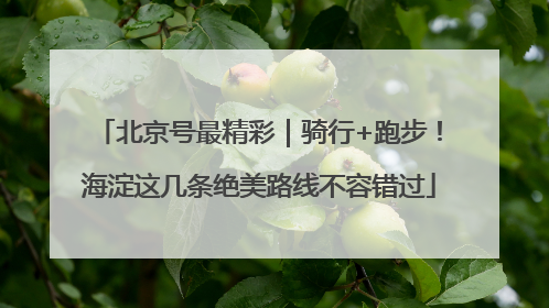 北京号最精彩｜骑行+跑步！海淀这几条绝美路线不容错过