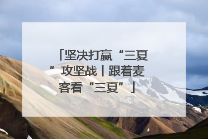 坚决打赢“三夏”攻坚战丨跟着麦客看“三夏”