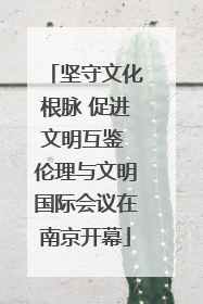 坚守文化根脉 促进文明互鉴 伦理与文明国际会议在南京开幕