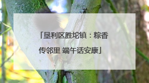 垦利区胜坨镇：粽香传邻里 端午话安康