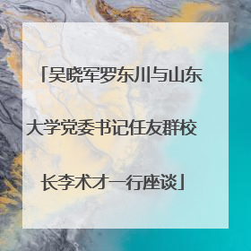 吴晓军罗东川与山东大学党委书记任友群校长李术才一行座谈