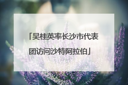吴桂英率长沙市代表团访问沙特阿拉伯