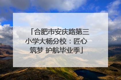 合肥市安庆路第三小学大杨分校：匠心筑梦 护航毕业季