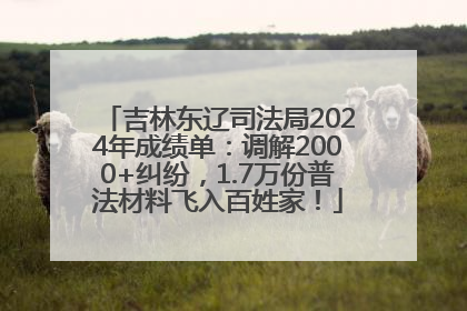 吉林东辽司法局2024年成绩单：调解2000+纠纷，1.7万份普法材料飞入百姓家！