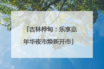 吉林桦甸：乐享嘉年华夜市焕新开市