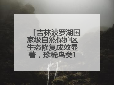 吉林波罗湖国家级自然保护区生态修复成效显著，珍稀鸟类10年增加5倍