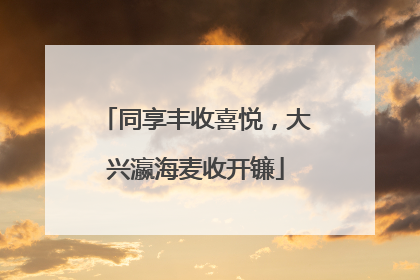 同享丰收喜悦，大兴瀛海麦收开镰